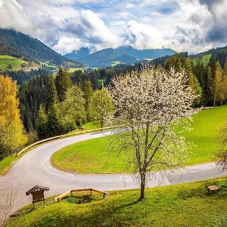 Apartamento Beautiful With Garden